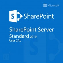 Microsoft SharePoint Server 2019 Standard User CAL