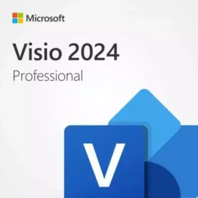 Visio 2024 Professional