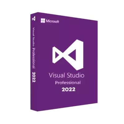 Microsoft Visual Studio 2022 Professional