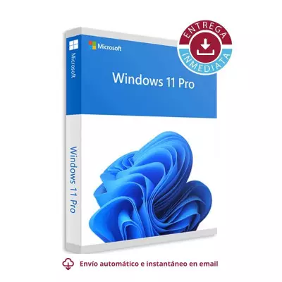 Windows 11 PRO